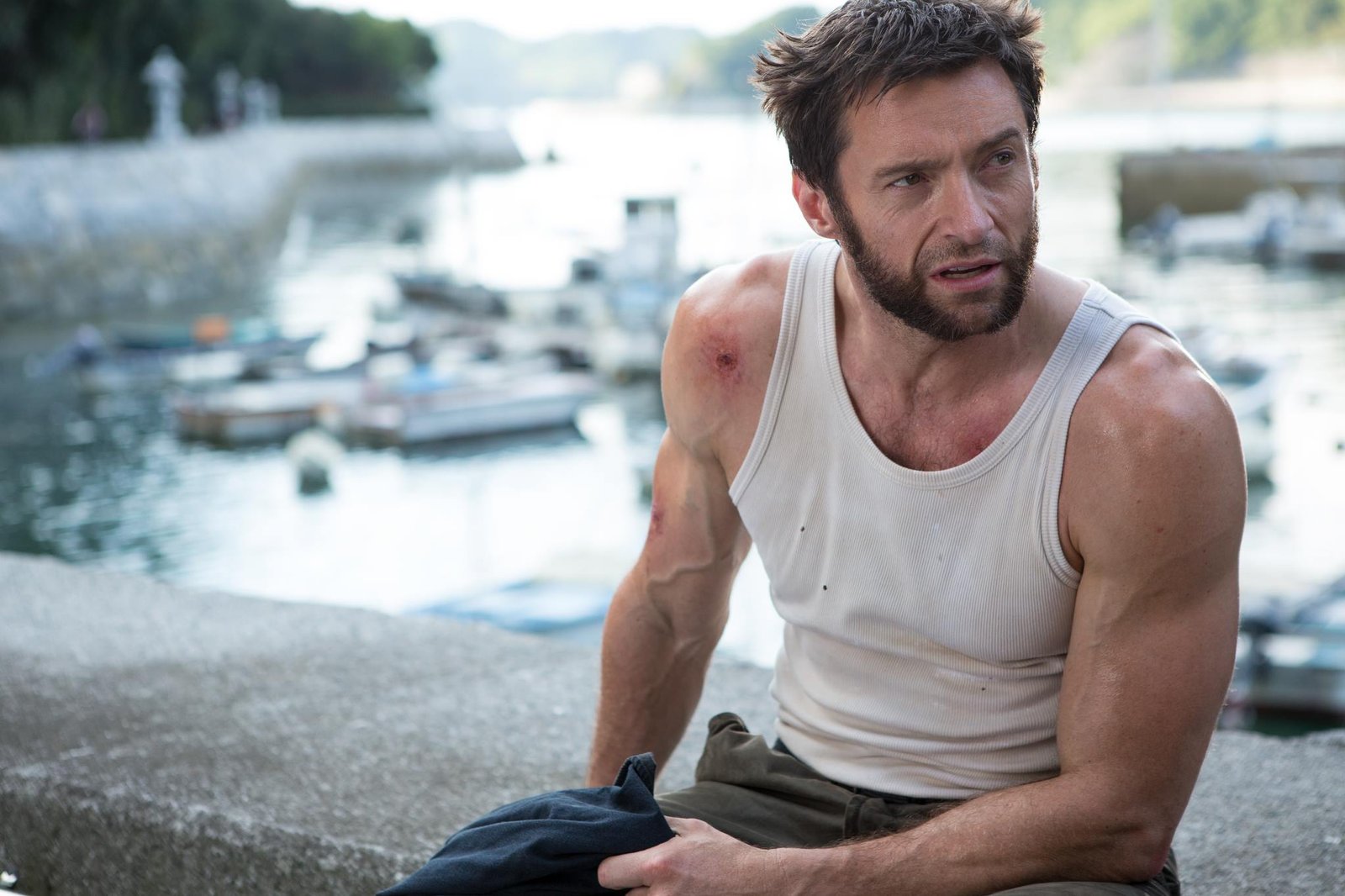 wolverine-3